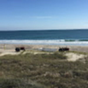 Meet your Posher, Denis